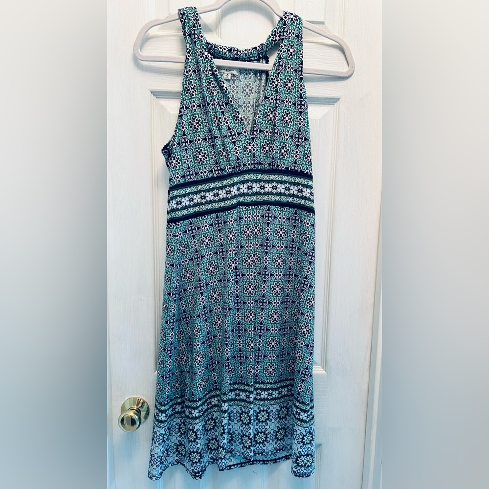 Max Studio Silky Stretch Dress